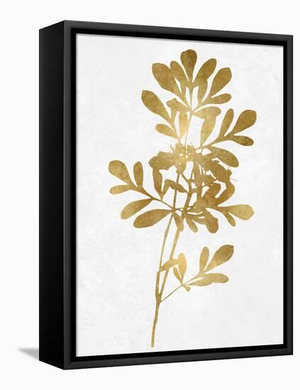 Nature Gold on White II-Danielle Carson-Framed Stretched Canvas