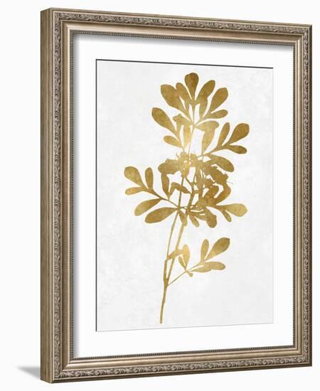 Nature Gold on White II-Danielle Carson-Framed Art Print