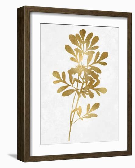 Nature Gold on White II-Danielle Carson-Framed Art Print