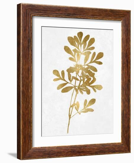 Nature Gold on White II-Danielle Carson-Framed Art Print