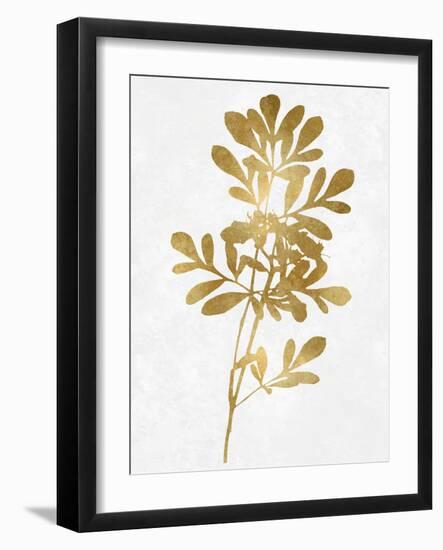 Nature Gold on White II-Danielle Carson-Framed Art Print