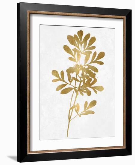 Nature Gold on White II-Danielle Carson-Framed Art Print