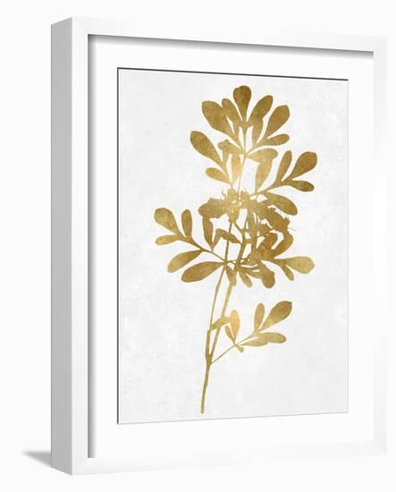 Nature Gold on White II-Danielle Carson-Framed Art Print