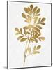 Nature Gold on White II-Danielle Carson-Mounted Art Print