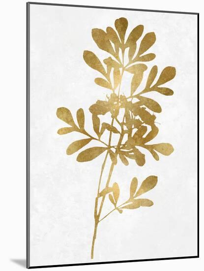 Nature Gold on White II-Danielle Carson-Mounted Art Print