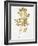 Nature Gold on White II-Danielle Carson-Framed Art Print