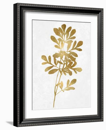 Nature Gold on White II-Danielle Carson-Framed Art Print