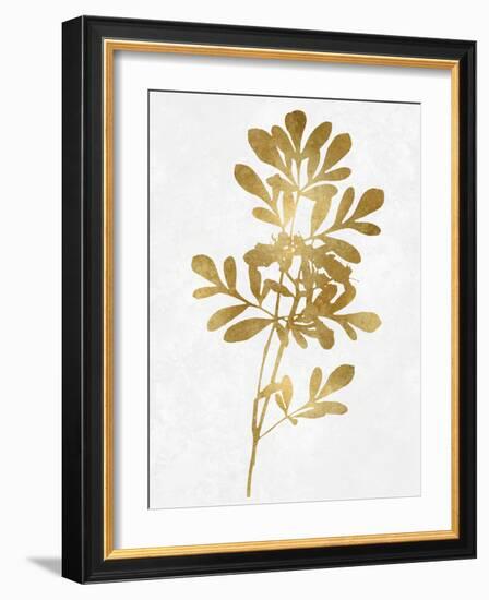 Nature Gold on White II-Danielle Carson-Framed Art Print