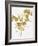 Nature Gold on White III-Danielle Carson-Framed Art Print