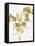 Nature Gold on White III-Danielle Carson-Framed Stretched Canvas