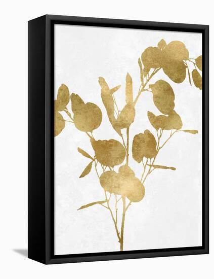 Nature Gold on White III-Danielle Carson-Framed Stretched Canvas