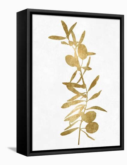 Nature Gold on White IV-Danielle Carson-Framed Stretched Canvas