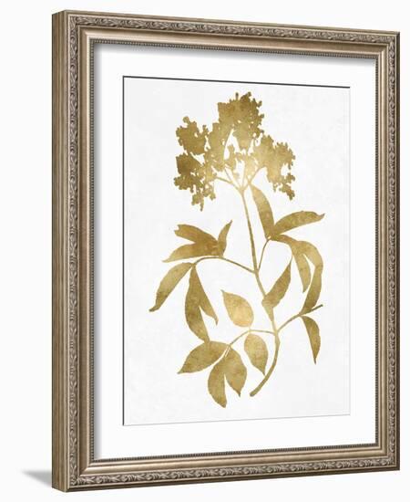 Nature Gold on White V-Danielle Carson-Framed Art Print