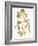 Nature Gold on White V-Danielle Carson-Framed Art Print