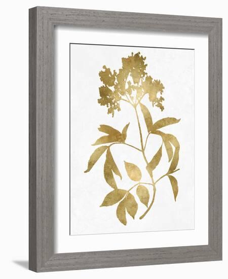 Nature Gold on White V-Danielle Carson-Framed Art Print