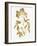 Nature Gold on White V-Danielle Carson-Framed Art Print