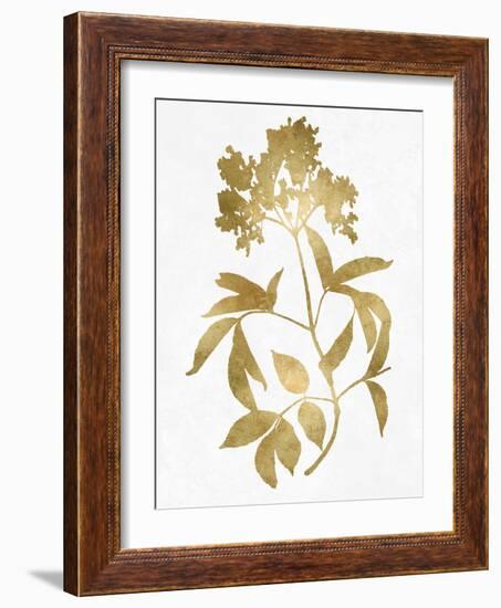 Nature Gold on White V-Danielle Carson-Framed Art Print