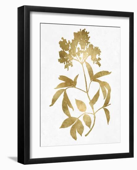 Nature Gold on White V-Danielle Carson-Framed Art Print