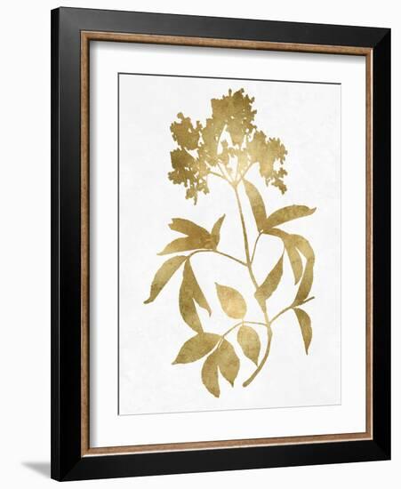 Nature Gold on White V-Danielle Carson-Framed Art Print