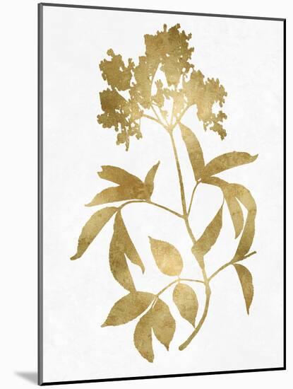 Nature Gold on White V-Danielle Carson-Mounted Art Print