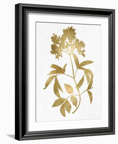 Nature Gold on White V-Danielle Carson-Framed Art Print