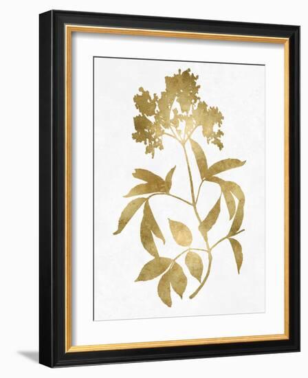 Nature Gold on White V-Danielle Carson-Framed Art Print