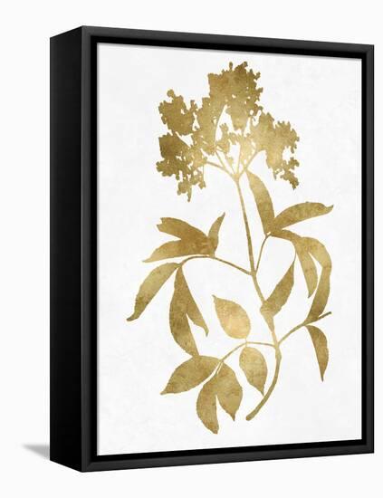 Nature Gold on White V-Danielle Carson-Framed Stretched Canvas