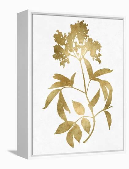 Nature Gold on White V-Danielle Carson-Framed Stretched Canvas