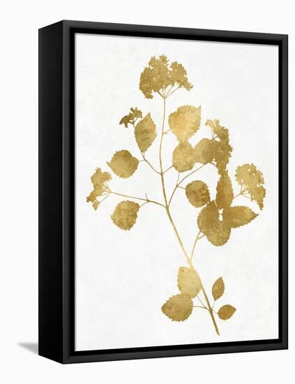 Nature Gold on White VI-Danielle Carson-Framed Stretched Canvas