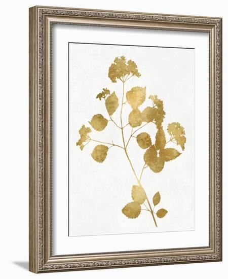 Nature Gold on White VI-Danielle Carson-Framed Art Print