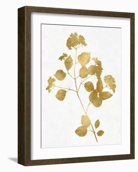 Nature Gold on White VI-Danielle Carson-Framed Art Print