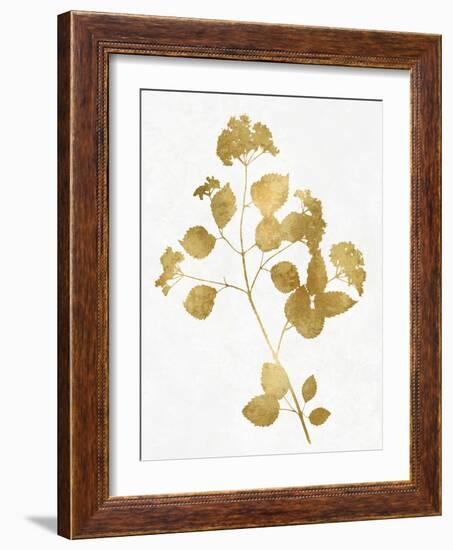 Nature Gold on White VI-Danielle Carson-Framed Art Print