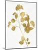 Nature Gold on White VI-Danielle Carson-Mounted Art Print