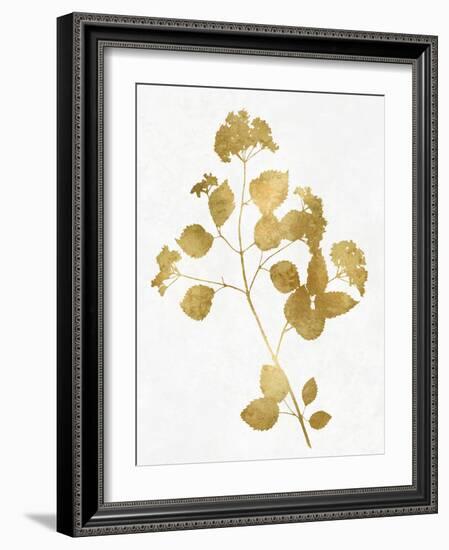 Nature Gold on White VI-Danielle Carson-Framed Art Print