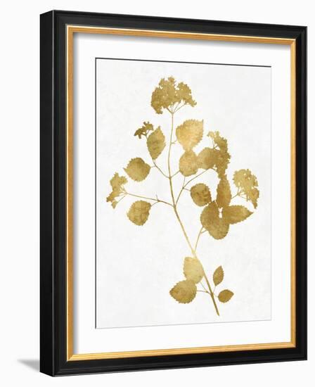 Nature Gold on White VI-Danielle Carson-Framed Art Print