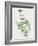 Nature Green I-Danielle Carson-Framed Art Print