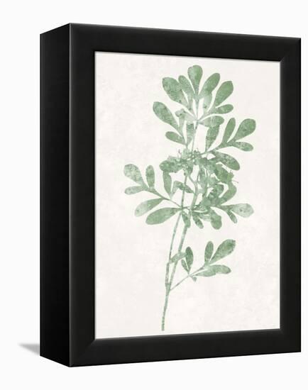 Nature Green II-Danielle Carson-Framed Stretched Canvas