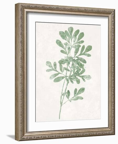 Nature Green II-Danielle Carson-Framed Art Print