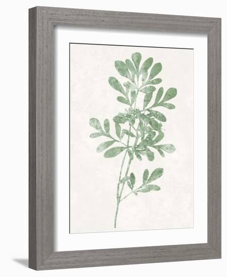 Nature Green II-Danielle Carson-Framed Art Print