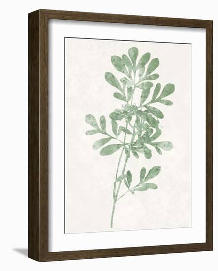 Nature Green II-Danielle Carson-Framed Art Print