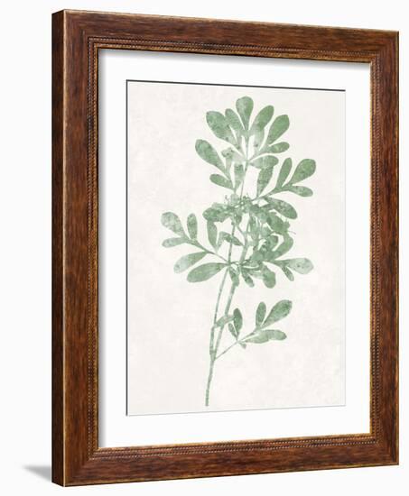 Nature Green II-Danielle Carson-Framed Art Print