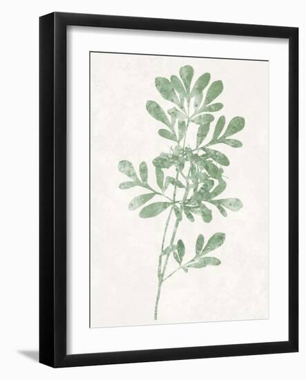Nature Green II-Danielle Carson-Framed Art Print