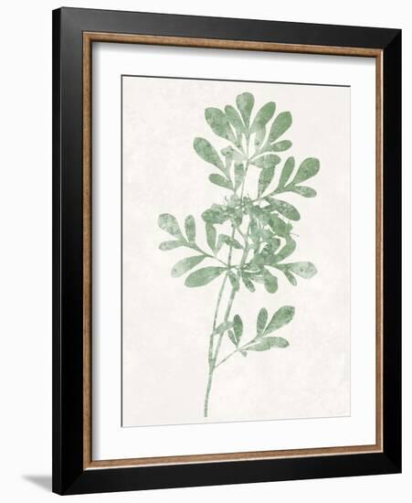 Nature Green II-Danielle Carson-Framed Art Print