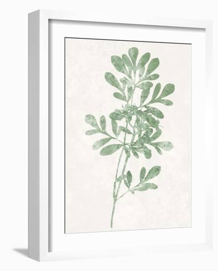 Nature Green II-Danielle Carson-Framed Art Print