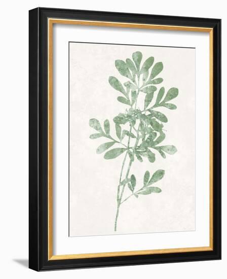 Nature Green II-Danielle Carson-Framed Art Print