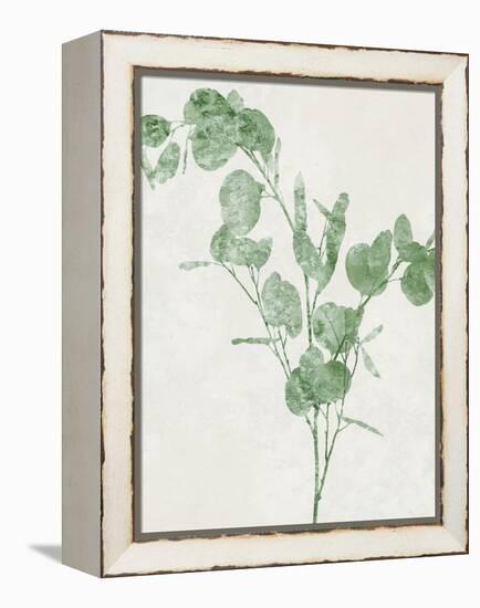 Nature Green III-Danielle Carson-Framed Stretched Canvas