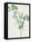 Nature Green III-Danielle Carson-Framed Stretched Canvas