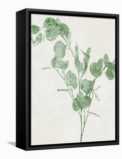 Nature Green III-Danielle Carson-Framed Stretched Canvas