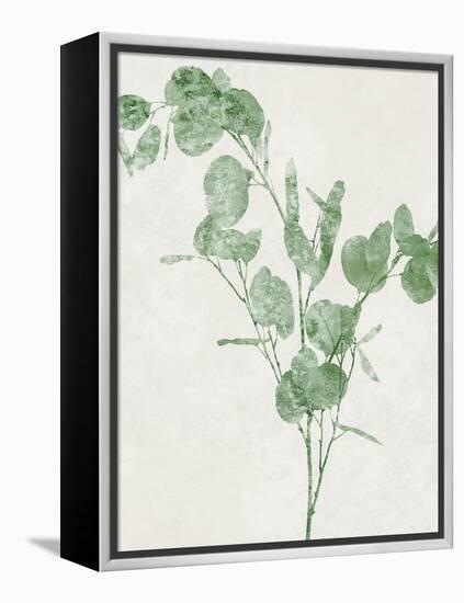 Nature Green III-Danielle Carson-Framed Stretched Canvas