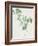 Nature Green III-Danielle Carson-Framed Art Print